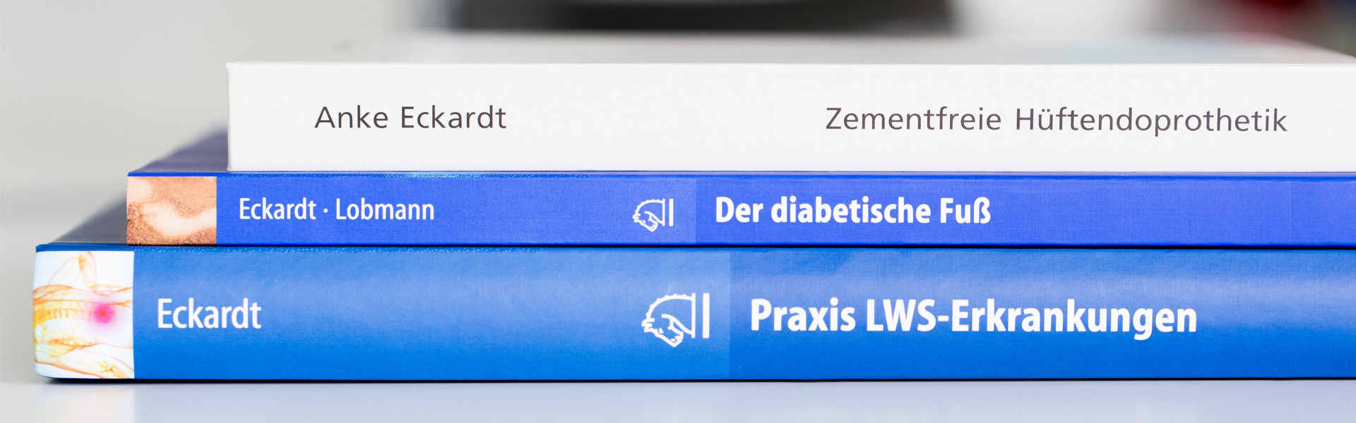 Publikationen - Prof. Dr. Anke Eckardt